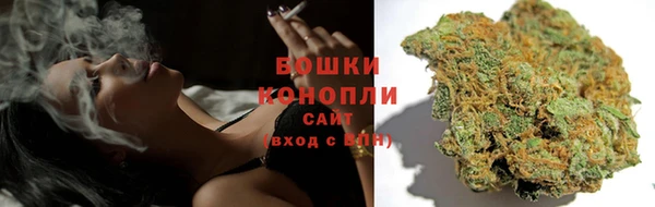 прущая мука Гусиноозёрск