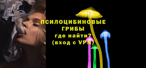прущая мука Гусиноозёрск